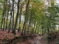 Rotton Row da Hambleden