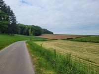 Roudebierg von Reisermillen
