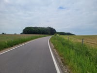 Roudebierg von Reisermillen