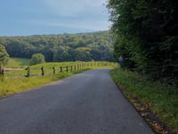 Roupiamont / Bois de Grand Henimont via La Sarte à Ben