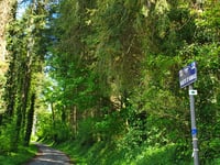 Route d'Amas