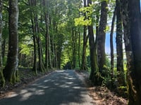 Route d'Espine