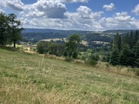 Route de Chenereilles