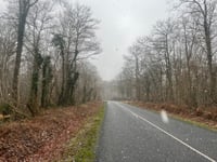 Route de Damery