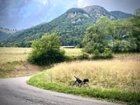 Route de l'Eponnet vanuit Marignier