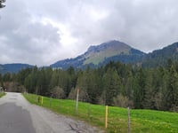 Route de la Cascade from Châtel St. Denis via Route du Moléson