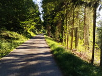 Route de la Ramure from Pigeon
