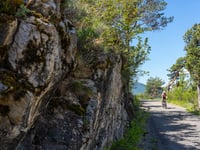 Route de la Viste von Maison du Roy