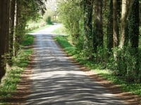 Route de Ligné from Arbespine