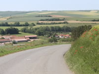 Route de Longvilliers von Frencq