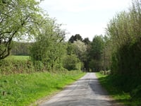 Route de Sarpay da Arbespine