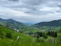 Route des Crêtes von Col du Bonhomme