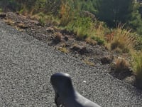 Route des Crêtes von La Ciotat