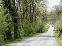 Route du Lac de Warfa