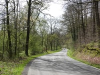 Route du Lac de Warfa