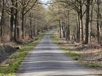 Route du Trou du Loup von Eupen