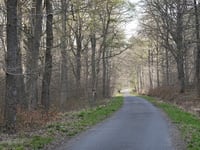 Route du Trou du Loup von Eupen