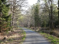 Route du Trou du Loup von Eupen