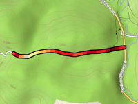 Route Forestière de Yango ff depuis Apatharena