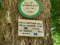 Route forestiêre des Russes von Steigenbach