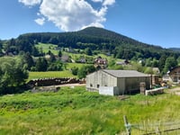 Route forestiêre des Russes von Steigenbach