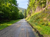 Route forestiêre des Russes from Steigenbach