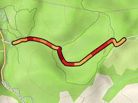 Route Forestière du Chemin Vert