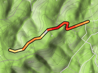 Route forestière du Langbank