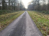 Route forestière von Vireux-Molhain