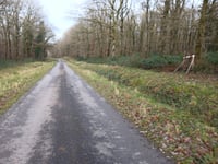 Route forestière da Vireux-Molhain