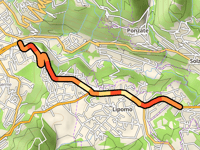 Rovascio da Como
