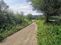 Rozdroże pod Wzgórzami Kiełczyńskimi depuis Wiry