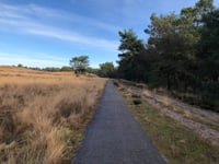 Rozendaalse Zand