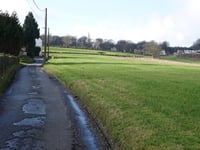 Rozengaerden via Billen