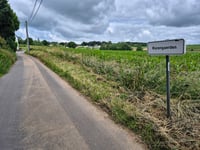 Rozengaerden przez Born