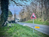 Rue chèvre