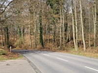 Rue de Bonnevoie von Izigerstee