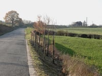 Rue de Hévremont von Goé