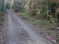 La Pierresse von Goé
