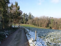 La Pierresse von Goé