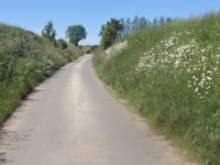 Rue de Lebiez von Wambercourt