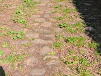 Rue de Profondval von Château-Ferme de Profondval