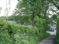 Rue de Rechain da Chaineux