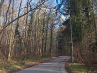 Rue des Mûriers