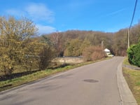 Rue des Mûriers