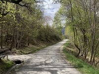 Rue des Vaudois