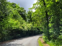 Chemin dit le Bois da Sart-Moulin