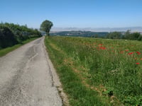Rue du Chemin Vert von Saint-Léonard