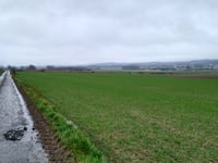 Rue du Joncquoy von Cordes