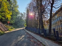 Rue du Mystère da Forest